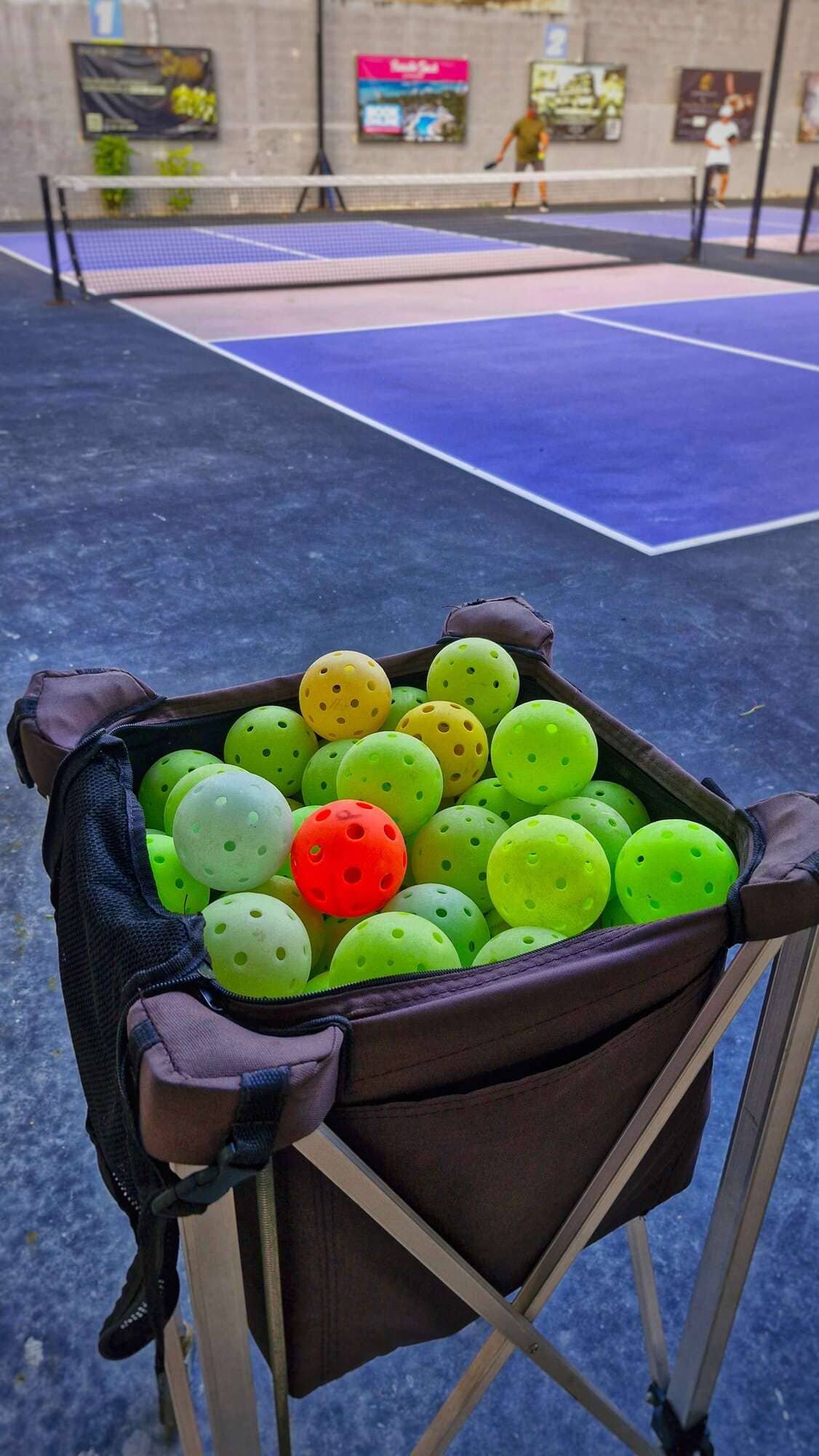 Pikapok Cozumel Pickleball