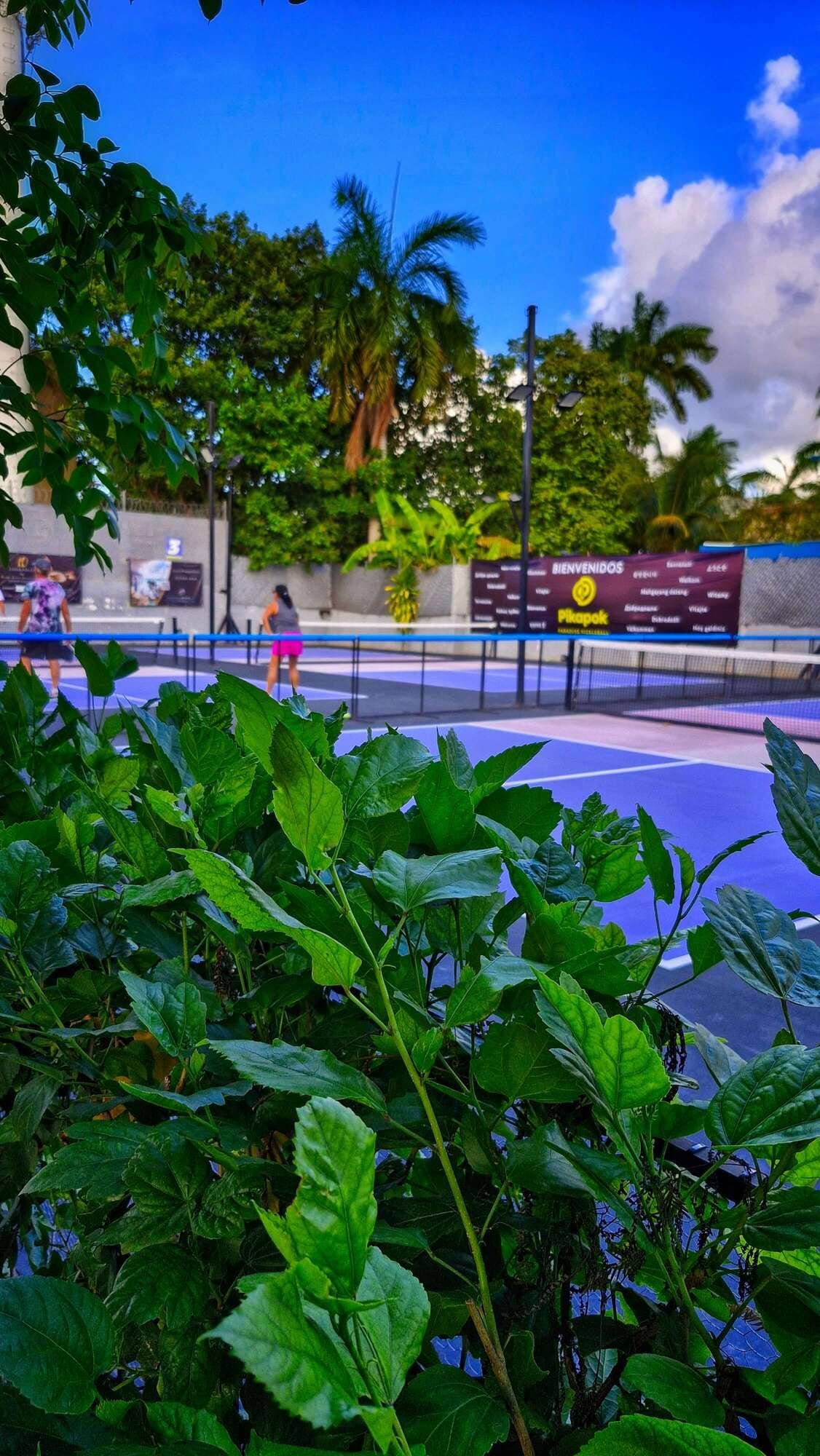 Pikapok Cozumel Pickleball